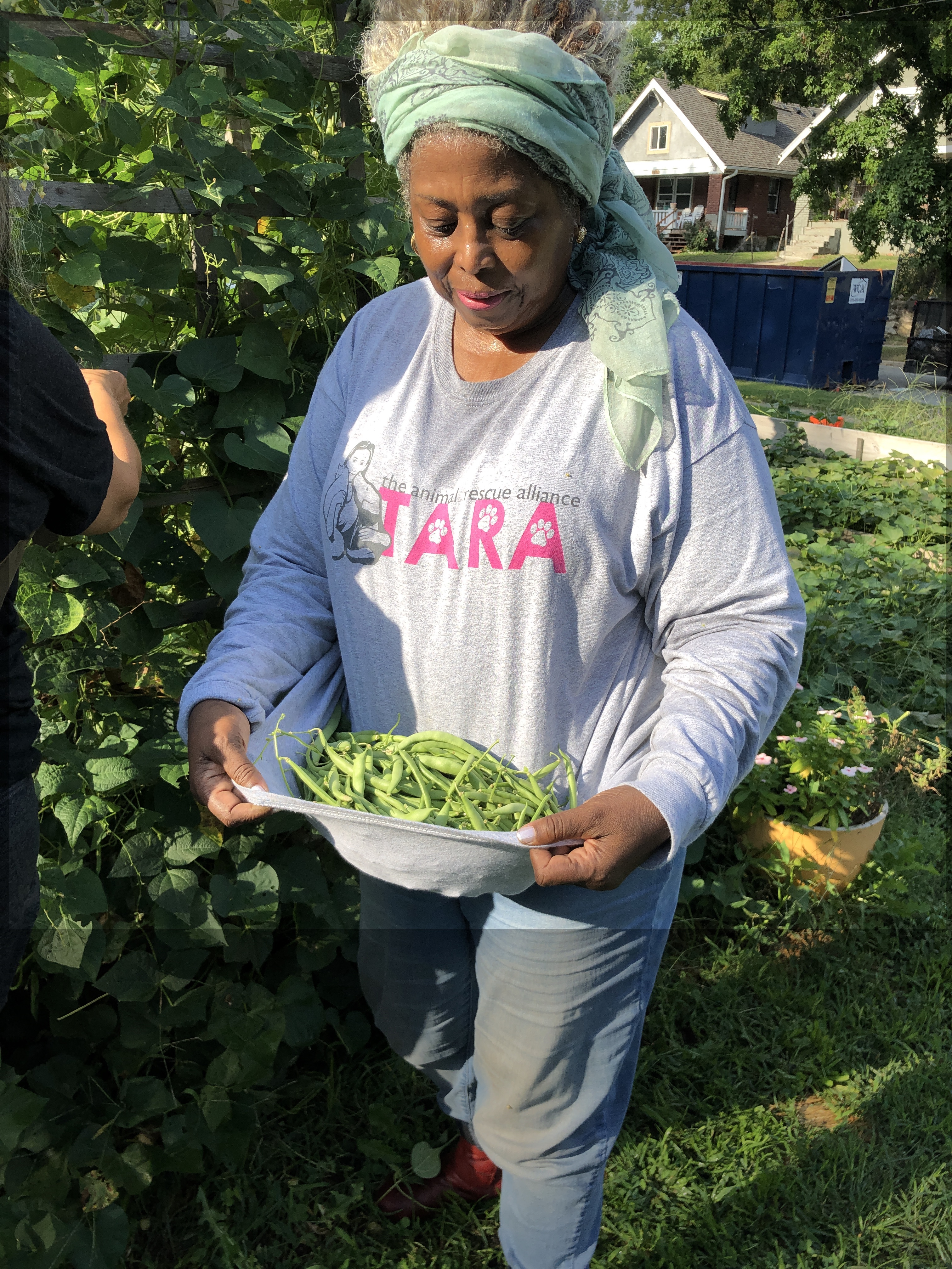 community garden image